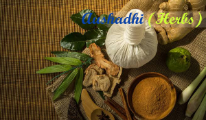 Kerala Ayurved Treatment with Authentic Aushadhi Herbs - AMCT