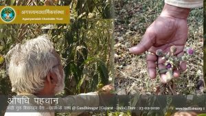 Aaushadhi Parichaya - Gandhinagar