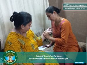 Practice on Pulse Analysis Learning Workshop In Gandhinagar
