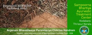 Indian Traditional Herbs Kerala India