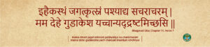 Environment Care Bhagvad Gita 11.07