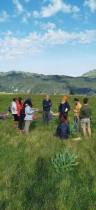 Ayurved Training Under Open Sky