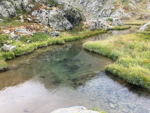 River - The Prakriti